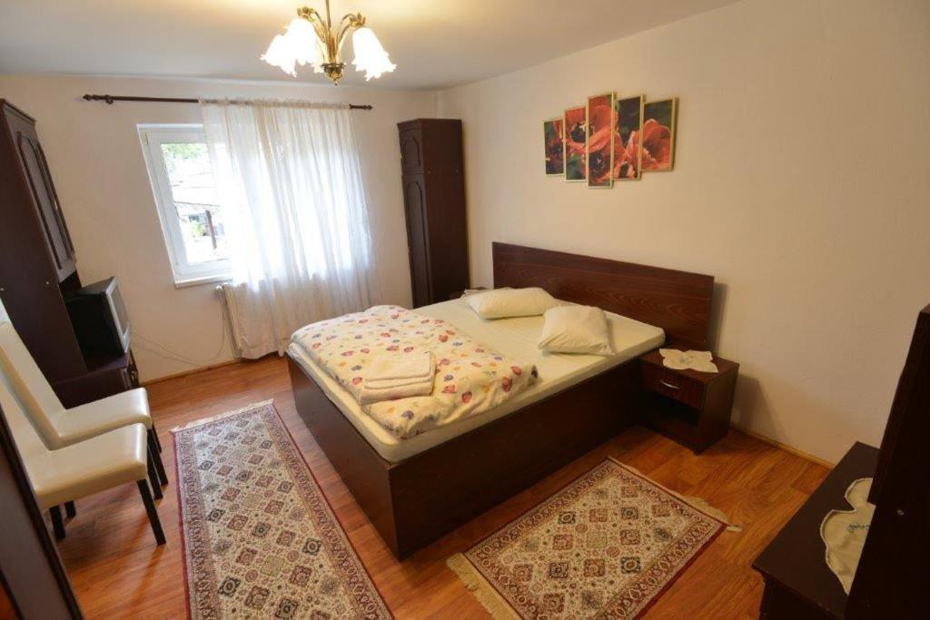 Casa Georgeta Guest House Bran  Bagian luar foto