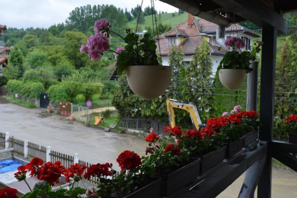 Casa Georgeta Guest House Bran  Bagian luar foto