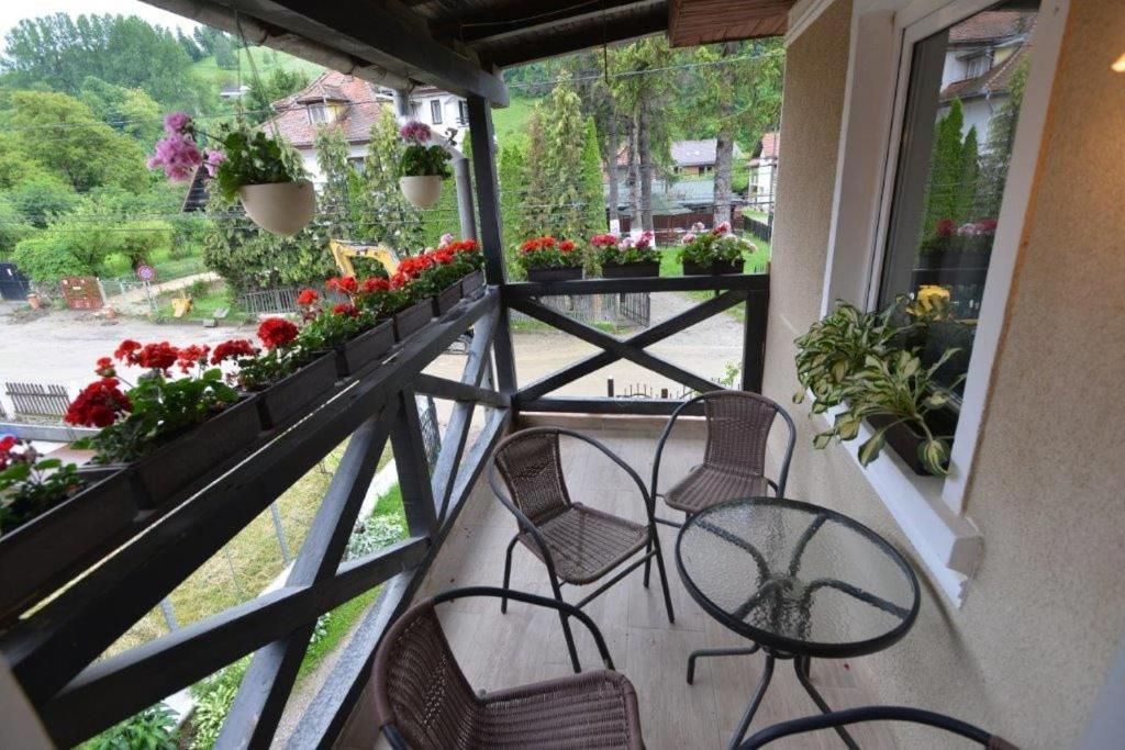 Casa Georgeta Guest House Bran  Bagian luar foto