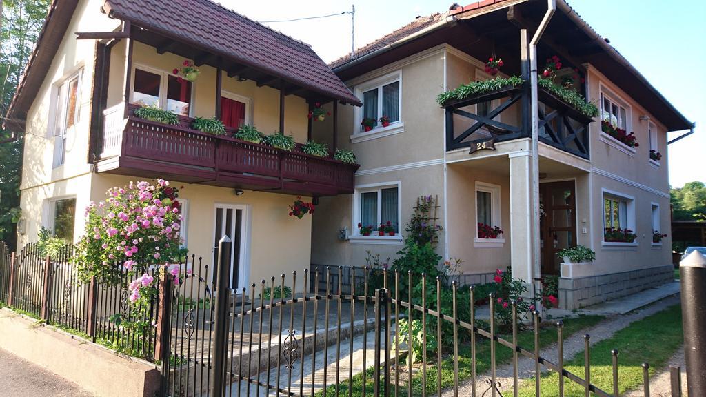 Casa Georgeta Guest House Bran  Bagian luar foto